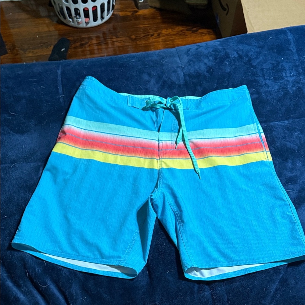 Burnside Aqua Swim Shorts with Colorful Stripes